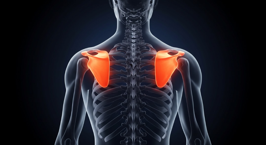 Case studies & Patient results Shoulder Specialist Dr. Ahmad Azmy